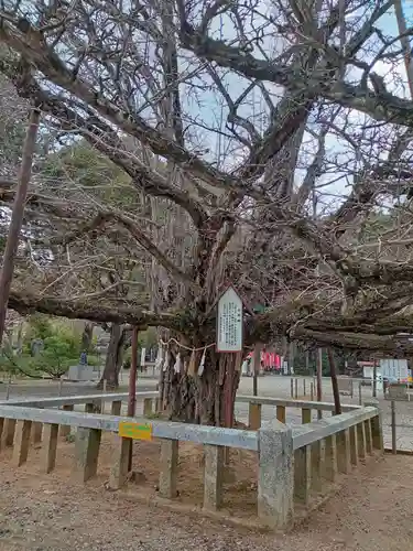 誕生寺(岡山県)
