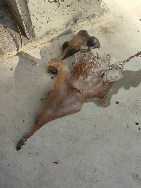 高司神社〜むすびの神の鎮まる社〜(福島県)