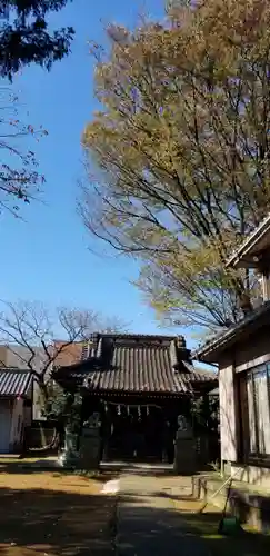 矢切神社の本殿・本堂