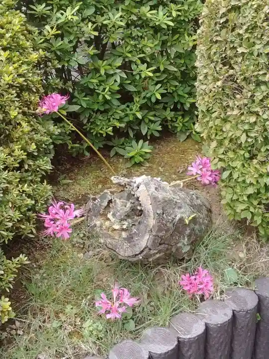 横浜 西方寺の自然