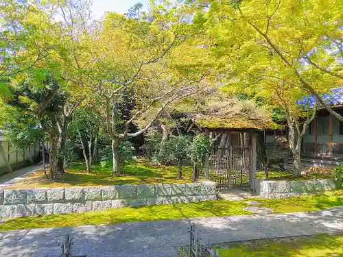 證玄寺の庭園