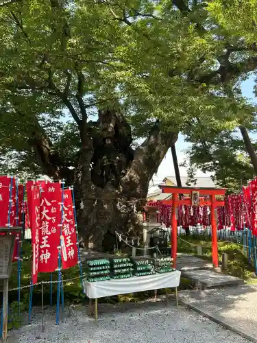 秩父今宮神社(埼玉県)
