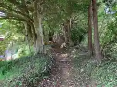 神明神社の自然