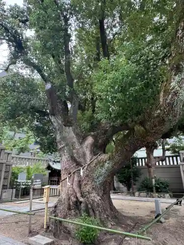 難波神社(大阪府)