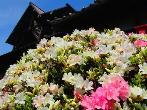 天満宮の自然