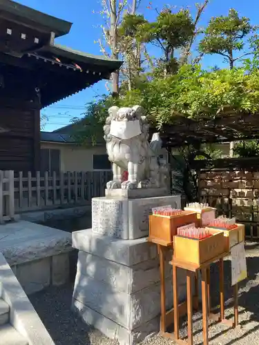 お三の宮日枝神社の狛犬