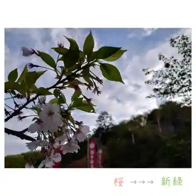 岐阜稲荷山本社(岐阜県)