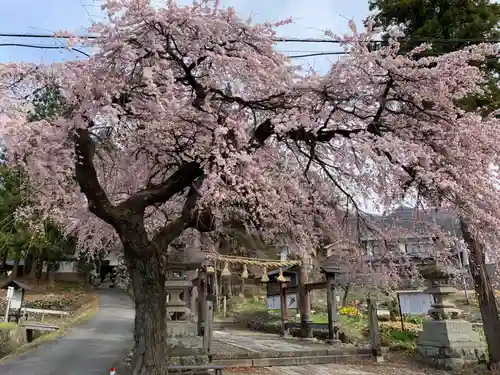 山家神社の自然