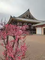 蓮華王院(三十三間堂)(京都府)
