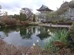 龍澤山祥雲寺(東京都)