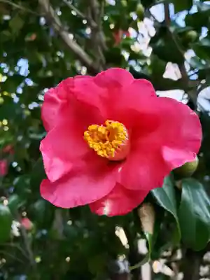 立法寺(東京都)