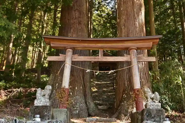 三所神社(桑の川の大杉)(高知県)