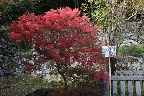 談山神社の自然