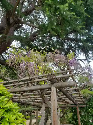 東光寺(東京都)