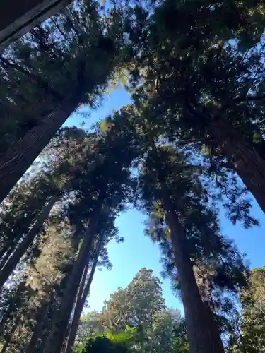 大宮温泉神社(栃木県)