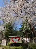 櫻木神社(千葉県)