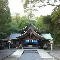 若宮八幡宮の本殿・本堂