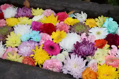 回向院(東京都)