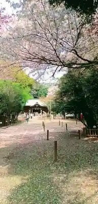畑子安神社(千葉県)