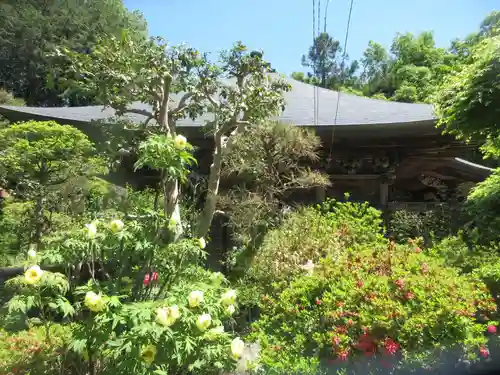 岩之上堂(埼玉県)