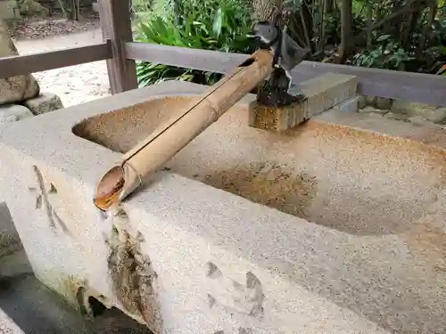 弓弦羽神社の手水舎