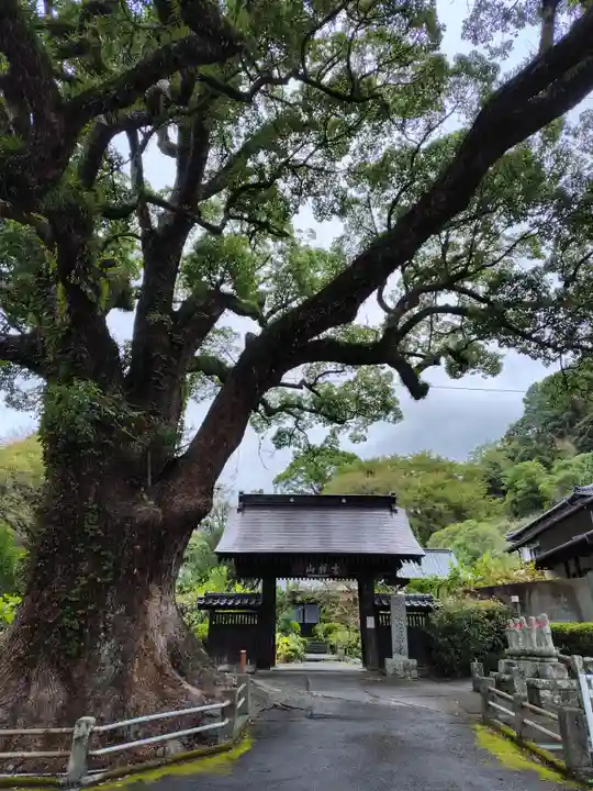 安楽寺(静岡県)
