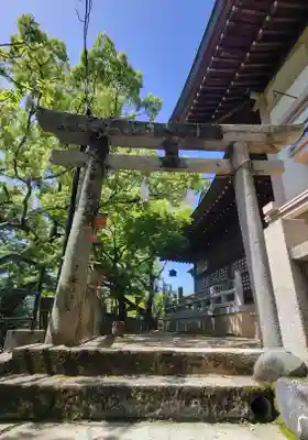 總鎮守八幡神社(愛媛県)
