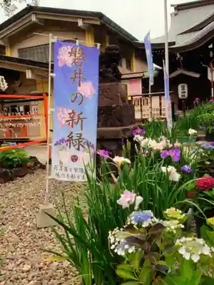 磐井神社(東京都)