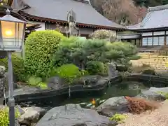 梅龍寺の庭園