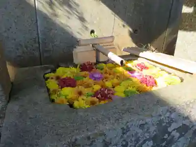 油井神社(福島県)