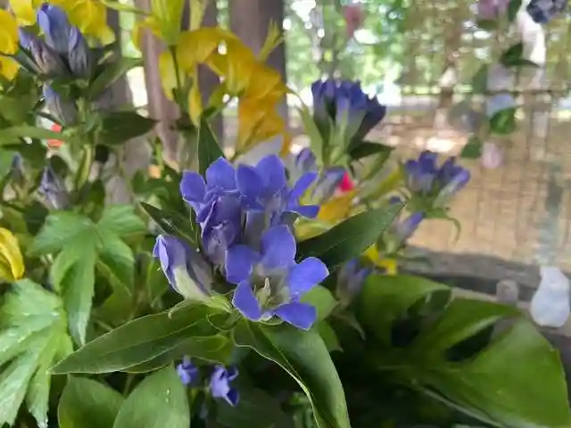 彌彦神社 (伊夜日子神社)の手水舎