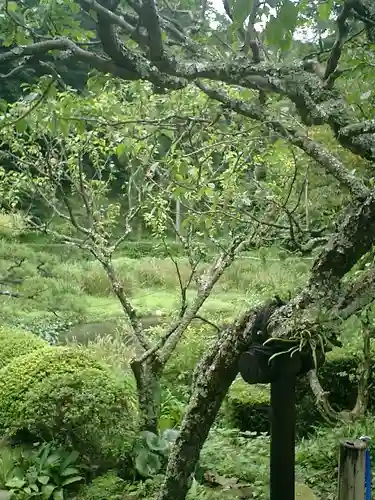 回春院の庭園