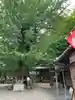 正法寺(滋賀県)