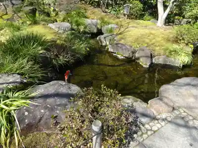 長谷寺(神奈川県)