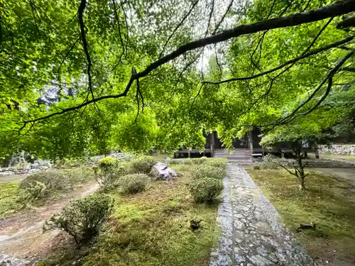上ノ院本坊　来迎院の自然