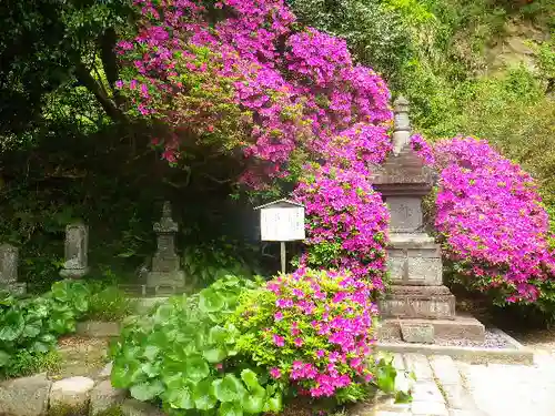 安養院　(田代寺）のその他建物