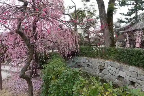 北野天満宮の庭園