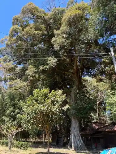 高房神社(茨城県)