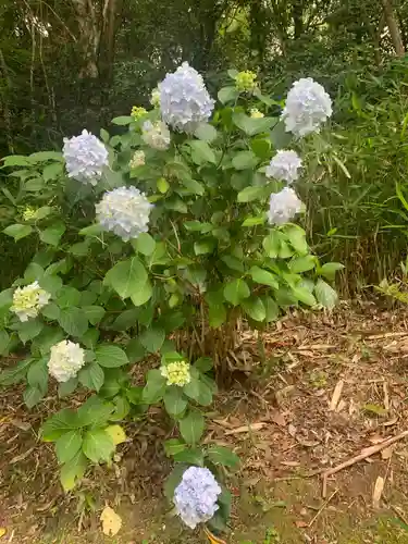 瀧谷不動尊　明王寺(大阪府)