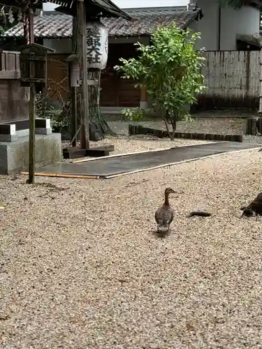 建部大社(滋賀県)