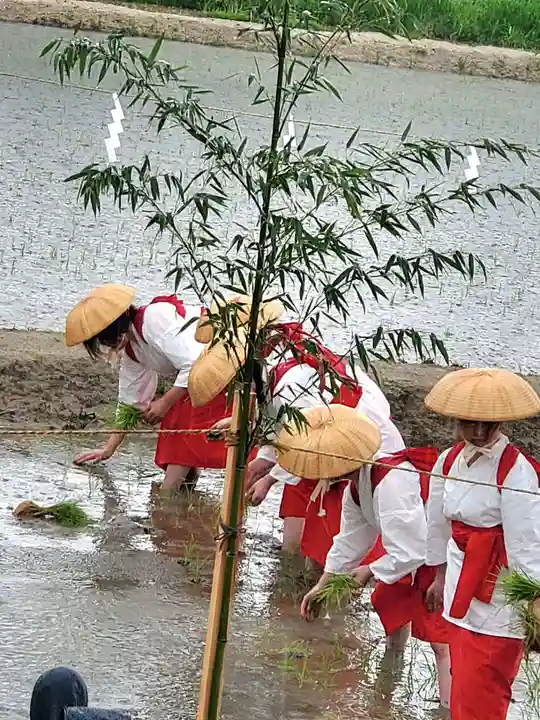 高屋敷稲荷神社(福島県)