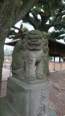 旗岡八幡神社の狛犬