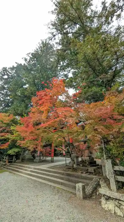 鍬山神社(京都府)