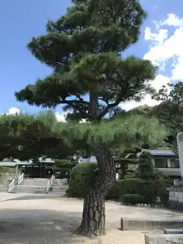 鶴羽根神社の自然