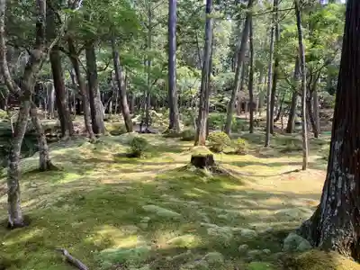 西芳寺(京都府)