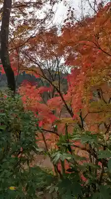 三室戸寺(京都府)