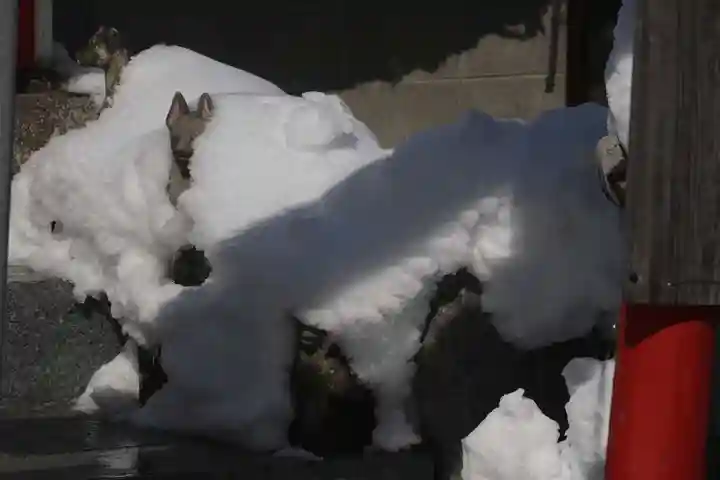 大鏑神社の末社・摂社