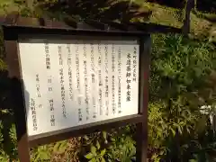 木造薬師如来坐像(神奈川県)