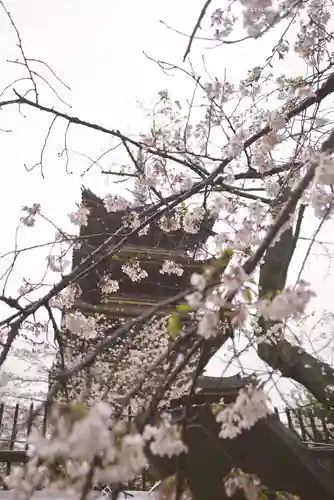 上野東照宮(東京都)