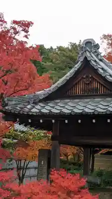 妙満寺(京都府)